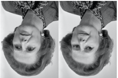 <p>Inversion effects are strong for faces, and are said to occur for stimuli that people have difficulty noticing unusual details (anomalies) in when turned upside down.</p>