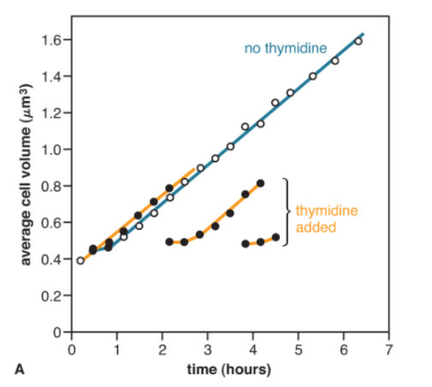 <p>What is a logical conclusion from this experiment?</p><p><br></p>