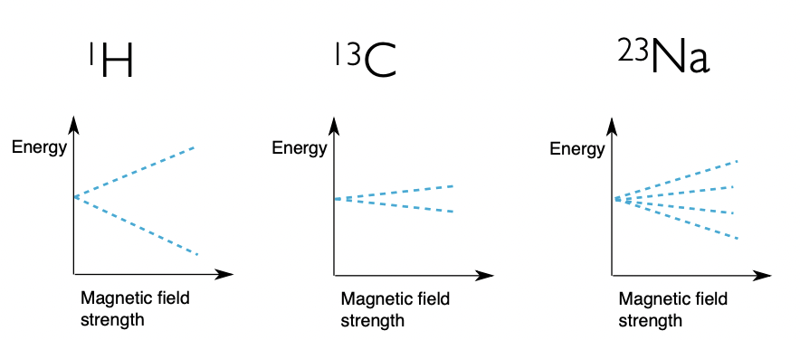 <p>describe what varies the Zeeman eigenstates here</p>
