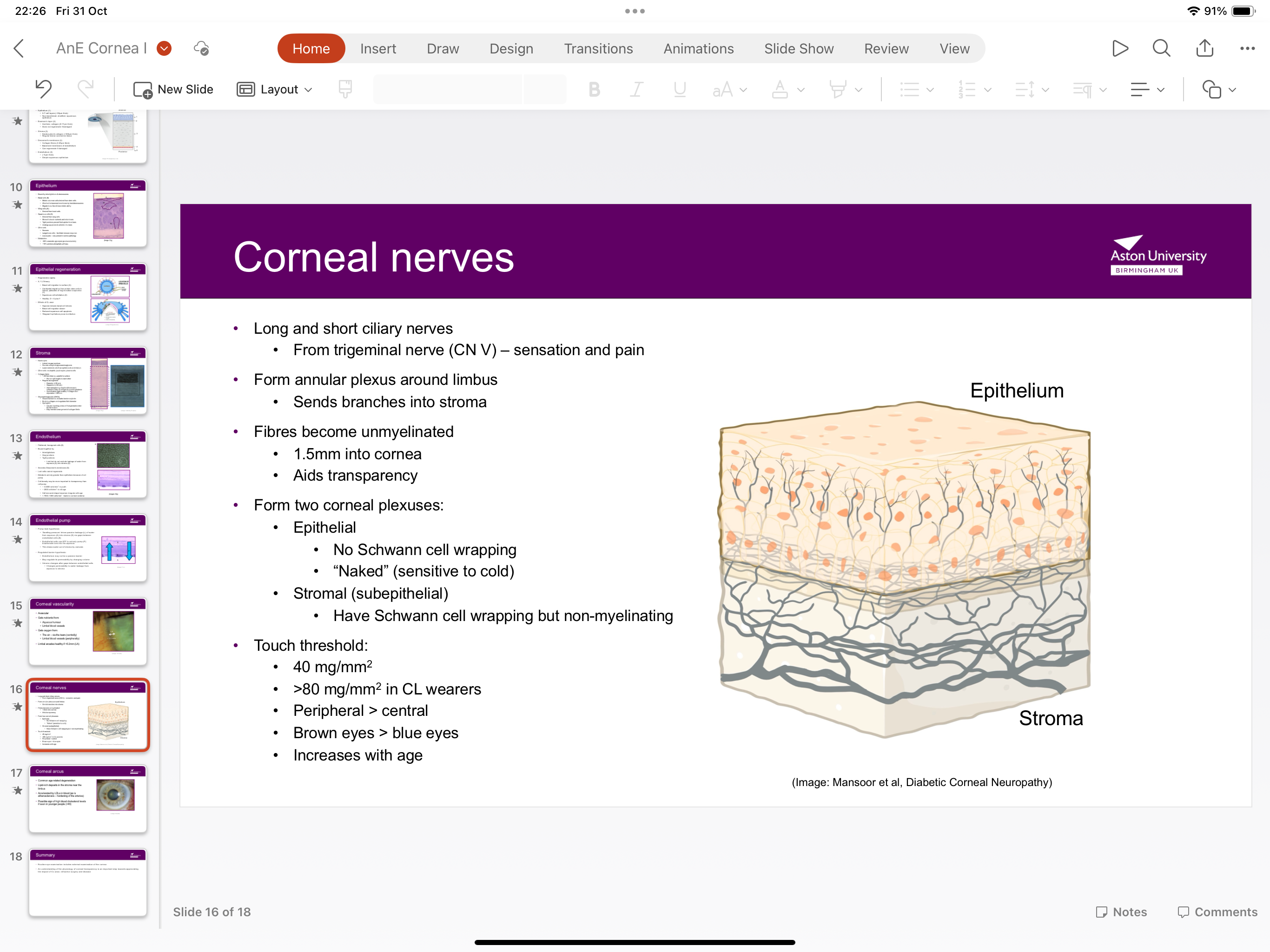 <p>CN 5- responsible for sensation and pain</p>