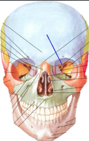 <p>Đây là chi tiết gì ?</p>