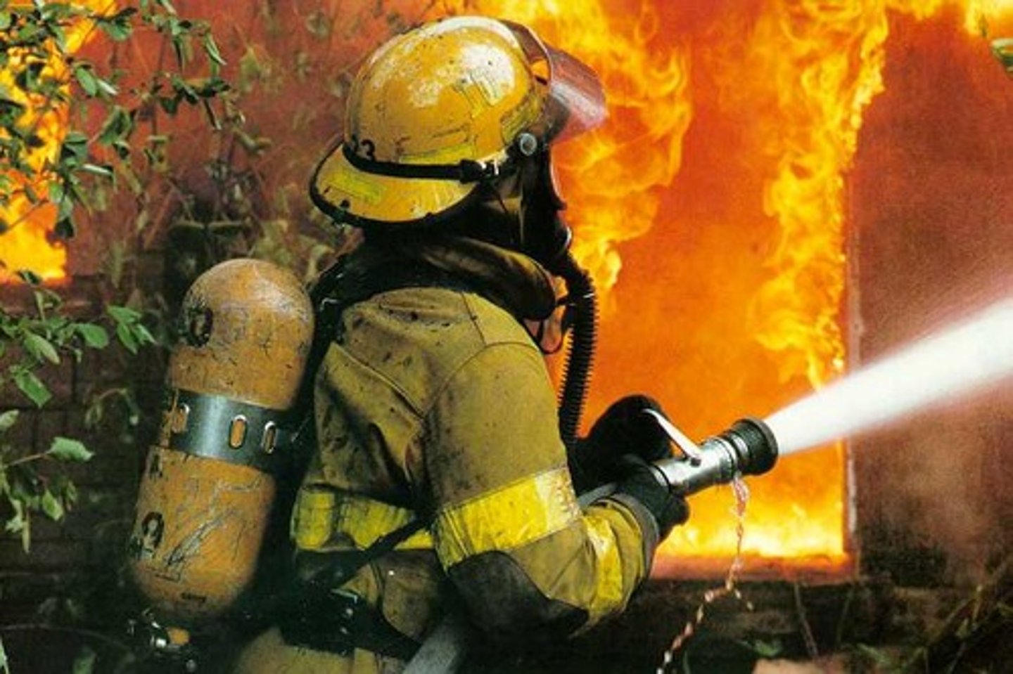 <p>fire fighter</p>