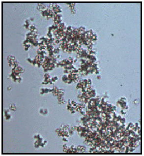 <p>Amorphous crystals</p>