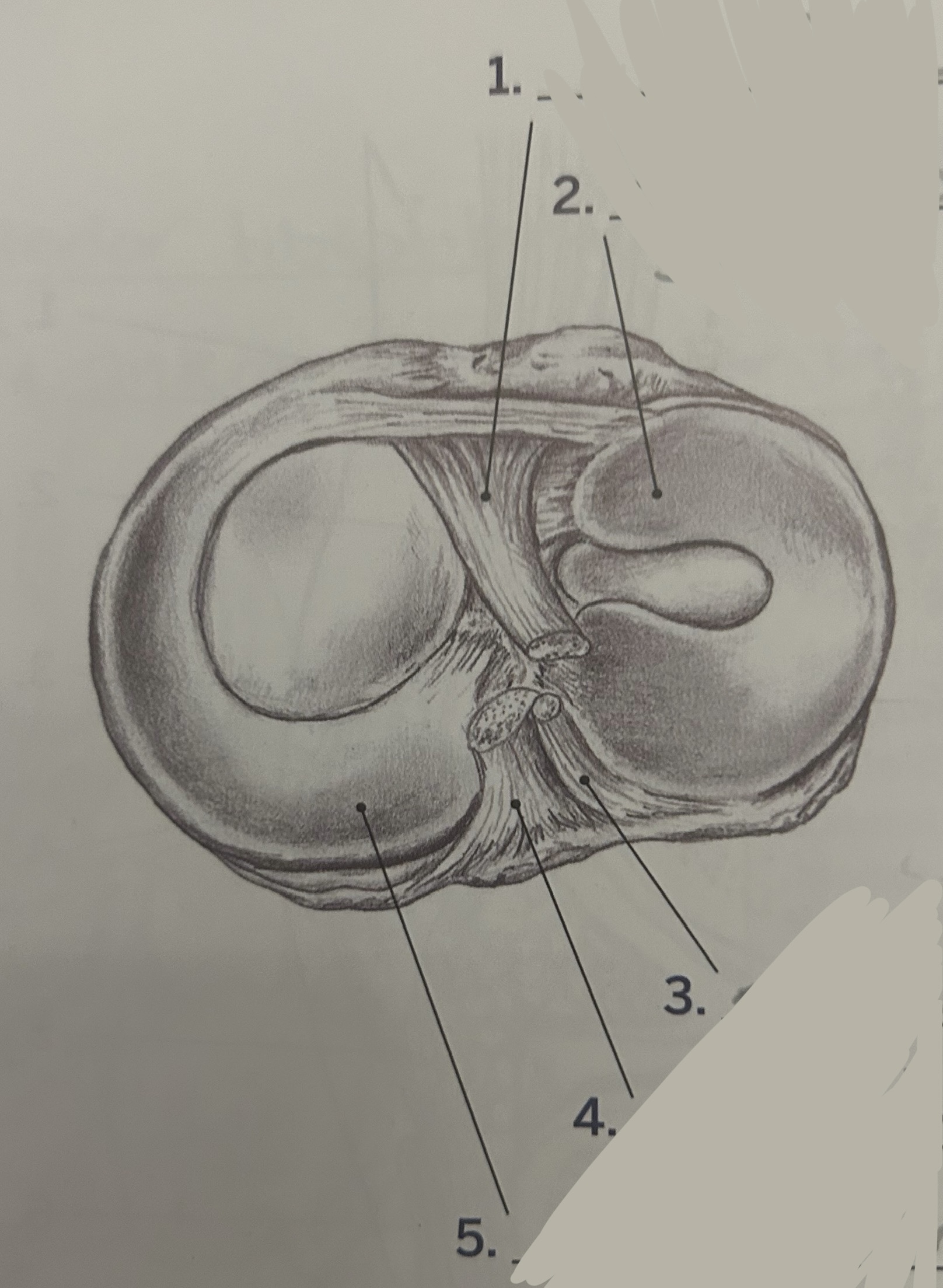 <p>4</p>