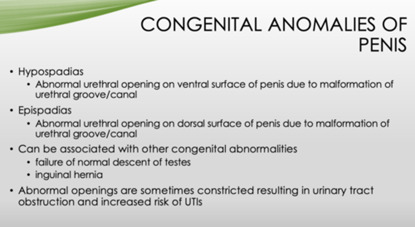 <p>- UT obstruction</p><p>- UTI</p>