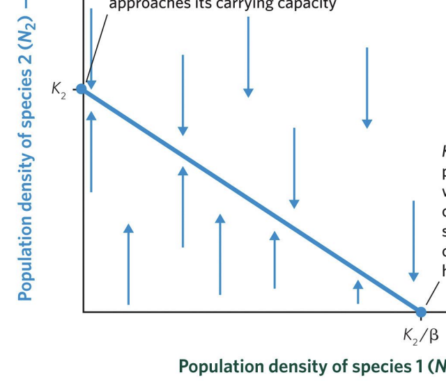 <p>move rightward, from upper left of the line</p>