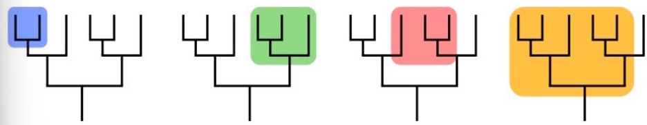<p>a grouping that is inclusive of every species in the group</p><p>e.g. in the picture, the blue and green highlighted groups are good examples, the red and orange highlighted groups are not</p>