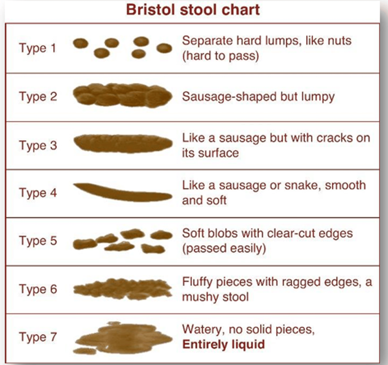 <p>Diagnosis of C. diff</p>