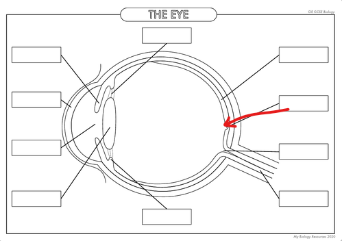 <p>What is the part in the diagram called?</p>