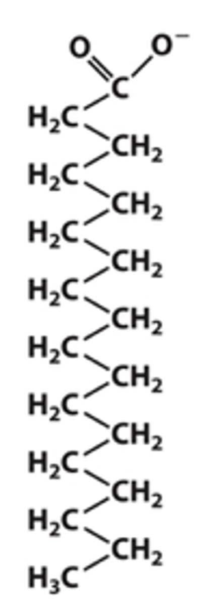 <p>What's the common name of this?</p>