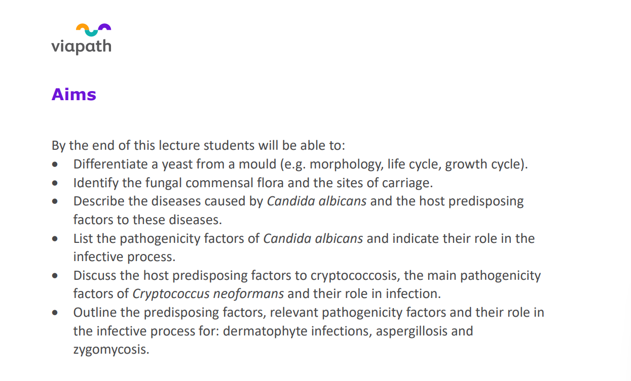<p><strong>zygomycosis</strong></p>