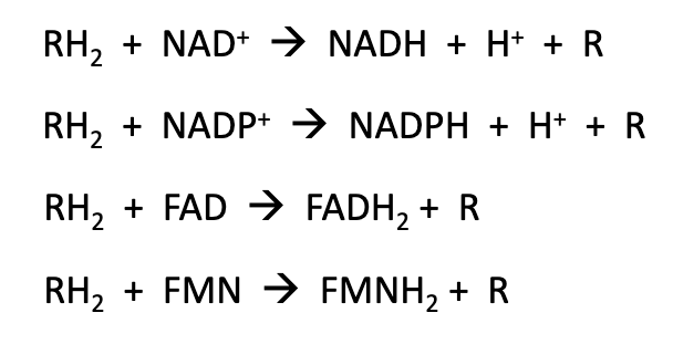 Electron Carrier Redox Reaction Equations