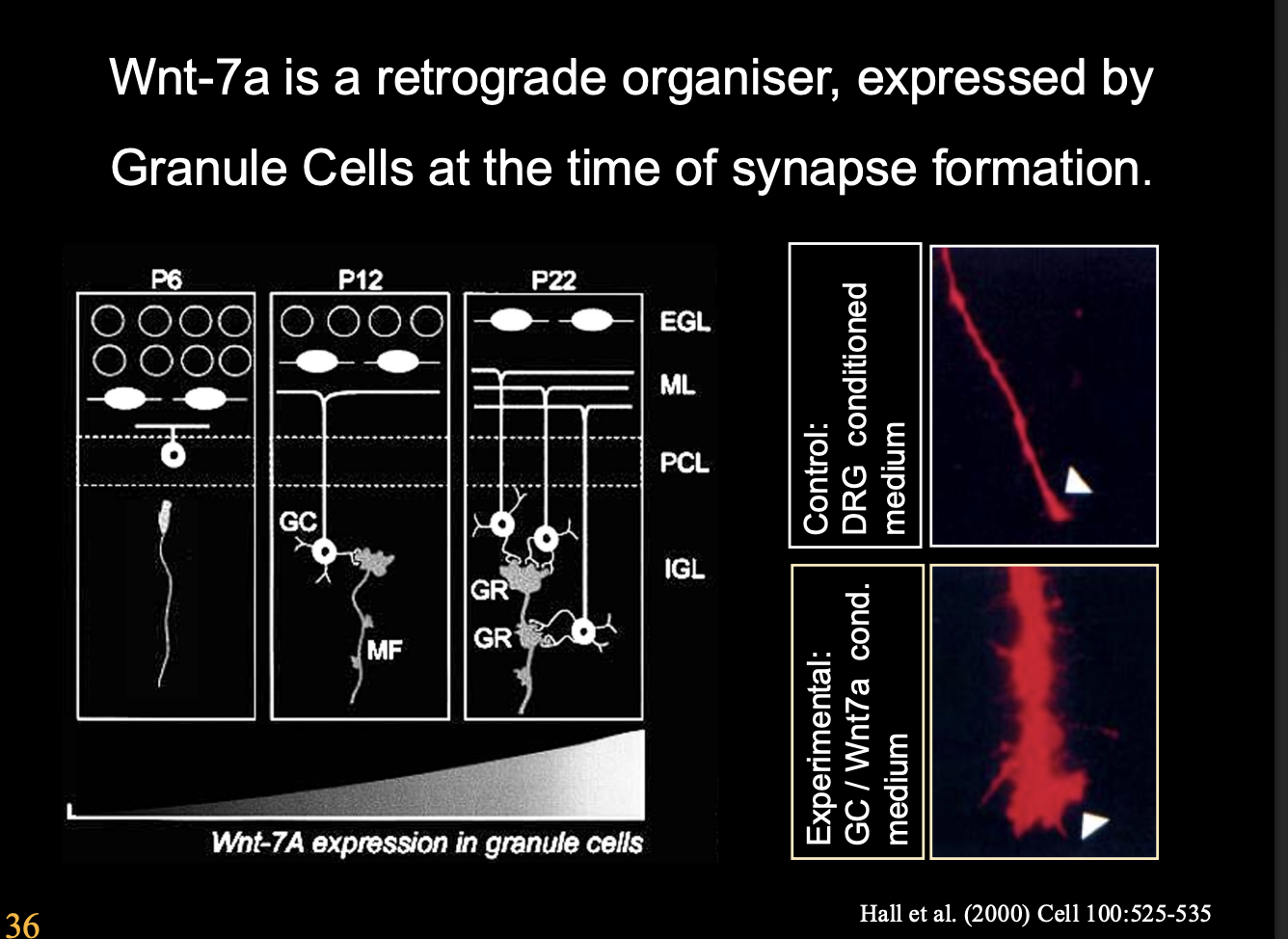<p>What was the experimental method for this to be found out</p>