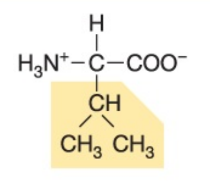 <p>Non-polar, hydrophobic</p>