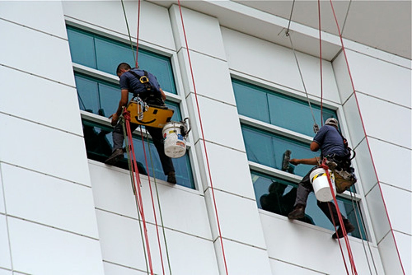 <p>to clean the windows</p>