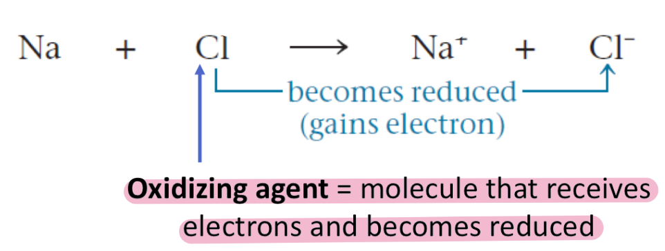 <p>Molecule that receives electrons and becomes reduced</p>