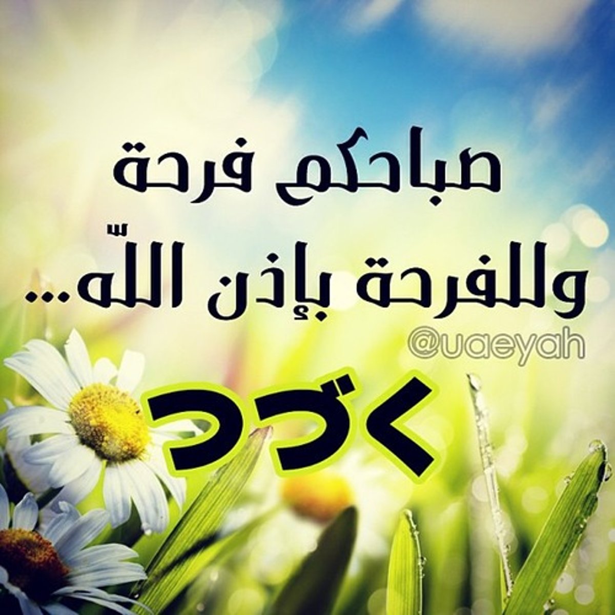 <p>to be continued</p>