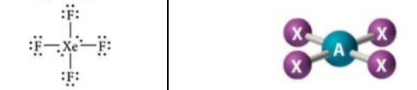 6 electron domains, 4 bonding groups, 2 lone pairs (<90)