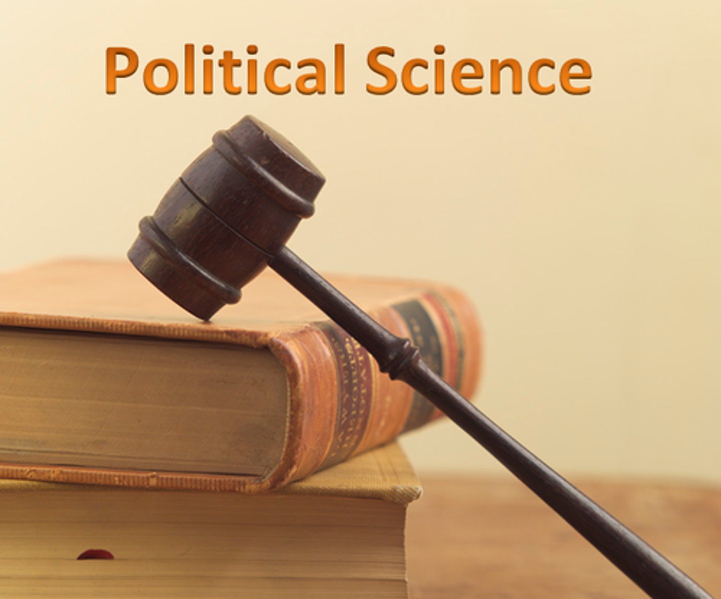 <p>political science</p>