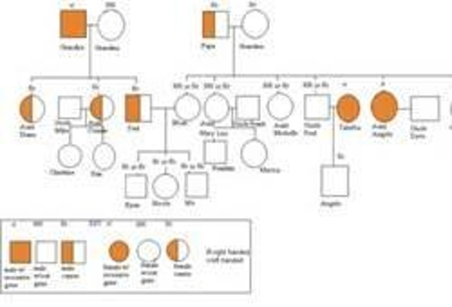 <p>One useful way to trace the inheritance of sex-linked characteristics is to use a pedigree chart. In these, a male is represented by a square, a female is represented as a circle, and shading with either shape indicates the presence of a characteristic in the phenotype.</p>