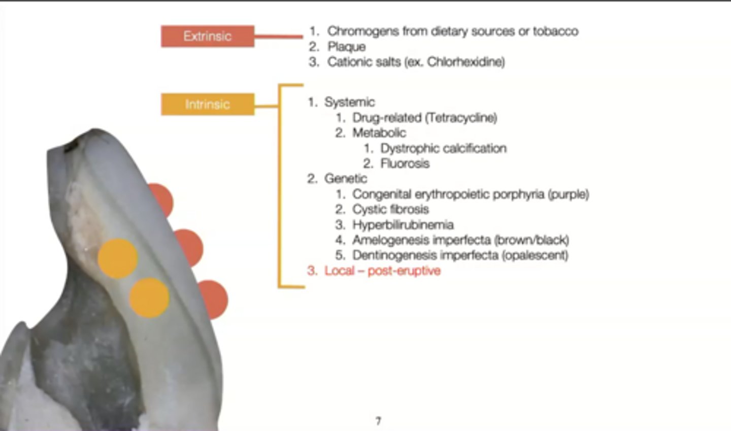 <p>external causes</p>