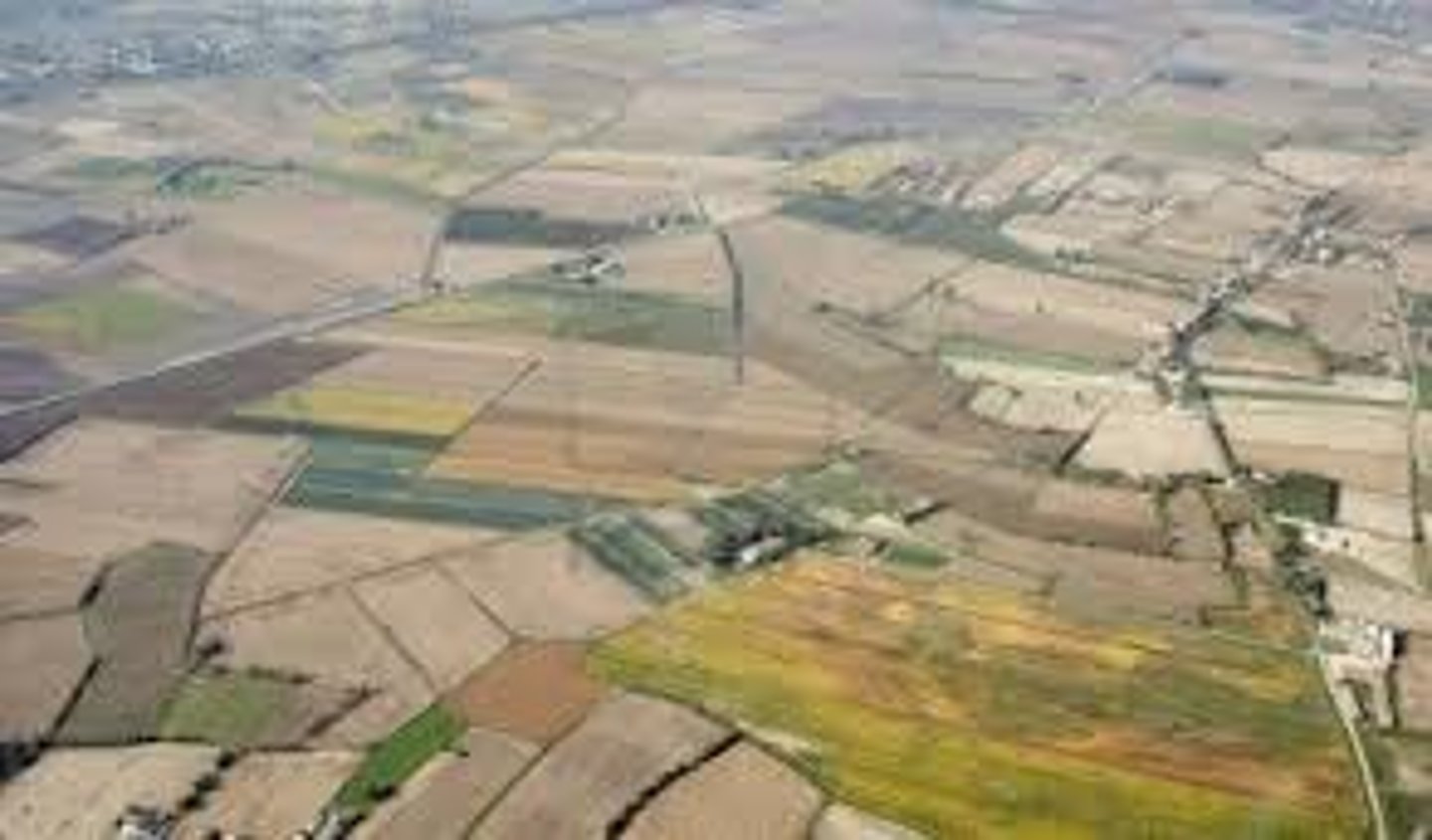 <p>intensively (adv) /ɪnˈtensɪvli/ English in a way that involves a lot of effort or input</p>