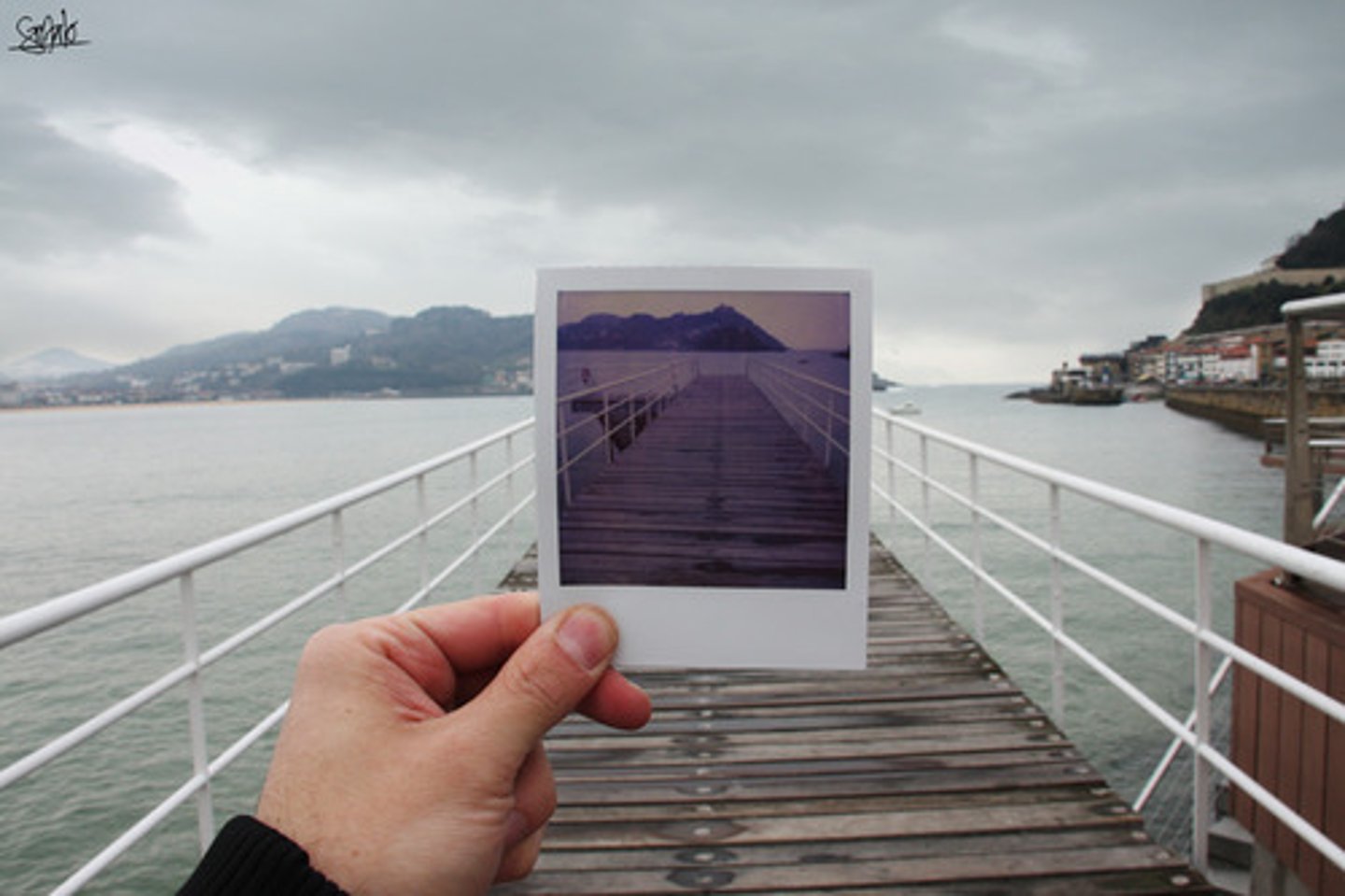 <p>reality</p>