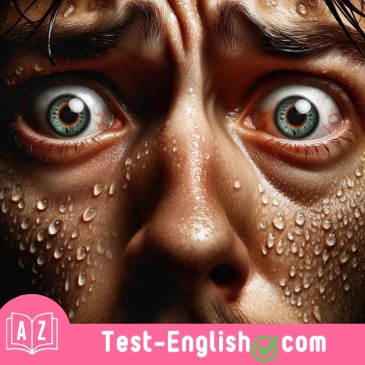 <p>When I realised there was an intruder in my house, I broke out in a _____. (2 words)</p>