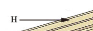 <p><span style="font-size: medium;">The sloping beams that were used to create the sloping roof.</span></p>