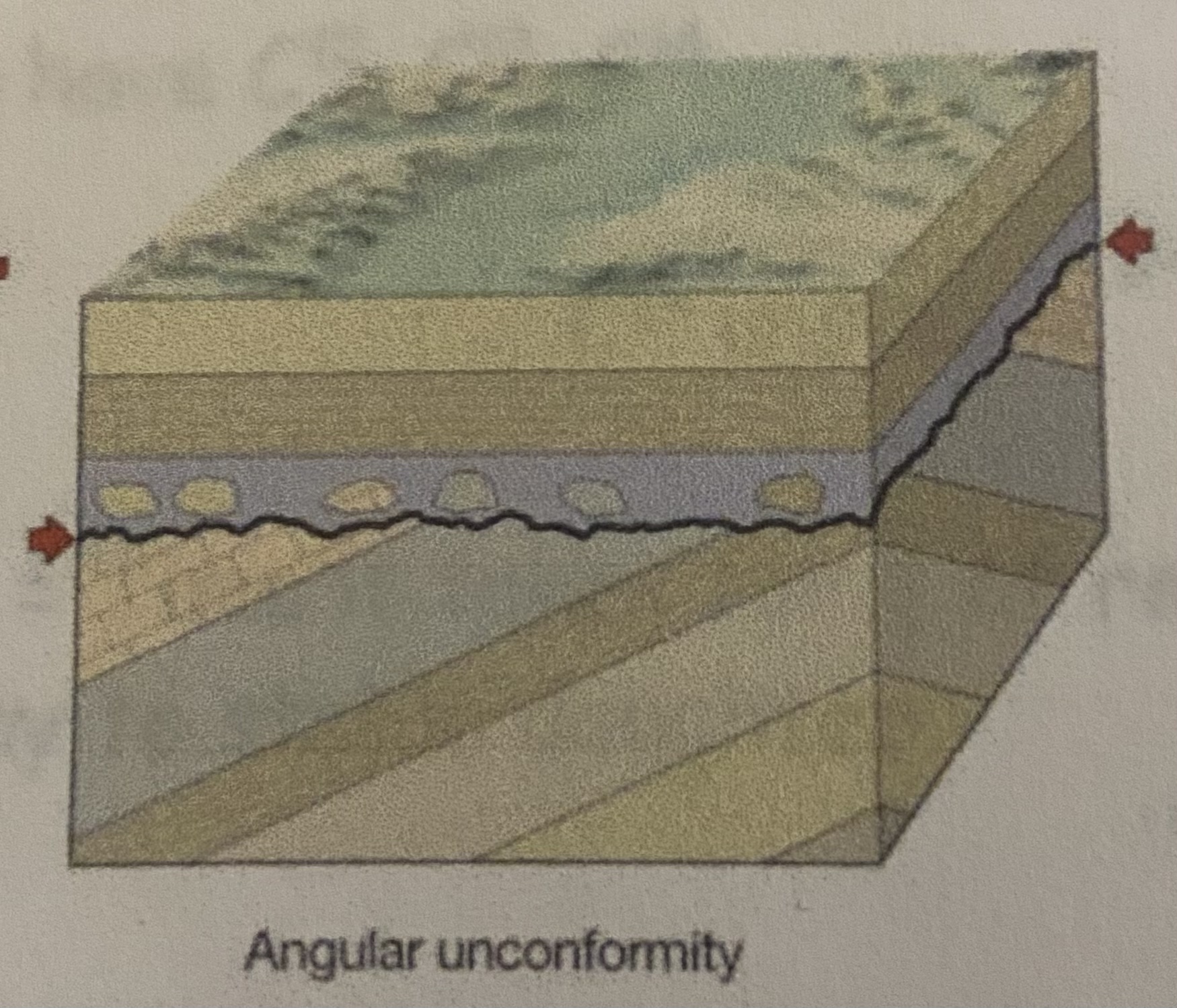what conformity type is shown?