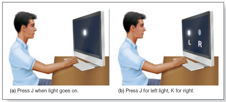 <ul><li><p><u>tache simple de réaction: </u>sujet doit presser ASAP un bouton dès que le signal apparait sur l’écran, après</p></li><li><p><u>tache de réaction</u> à choix: sujet doit choisir soit gauche soit droite.</p></li></ul>