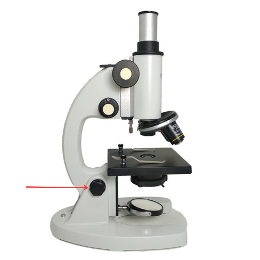 <p>It is used to allow tilting of the microscope so the user can view the specimen at a more comfortable angle.</p>