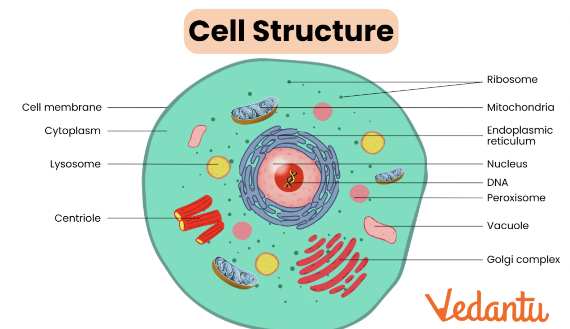 <p><span data-name="laughing" data-type="emoji">😆</span></p>