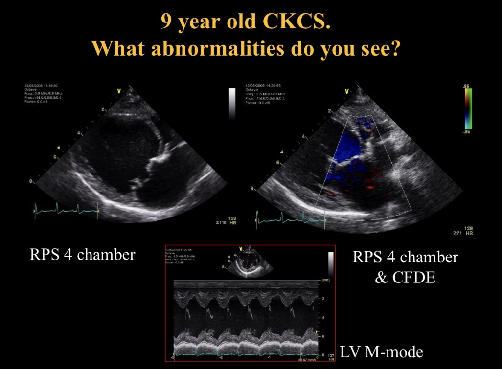 <p>Abnormalities seen</p>