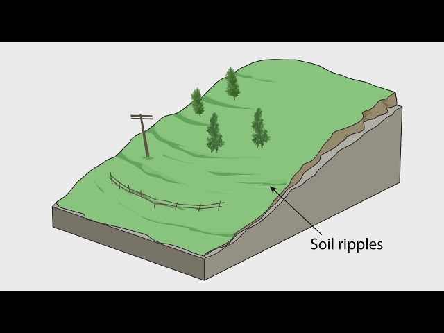 <p>very slow movement of individual soil particles moving downslope due to wetting and freezing</p>