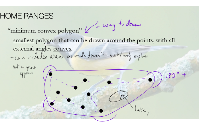 <p>What are the 2 ways home range maps are drawn? Describe them.</p>