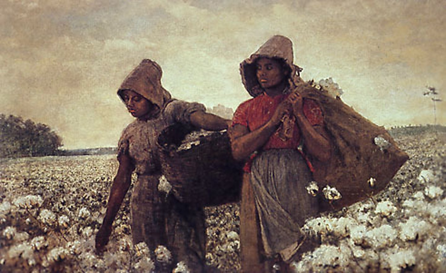 <p>The undervalued contributions of women in agriculture for food production, processing, and marketing worldwide defined by LDCs (Less-developed countries) with subsistence agriculture and MDCs (More-developed countries) with agribusiness.</p>