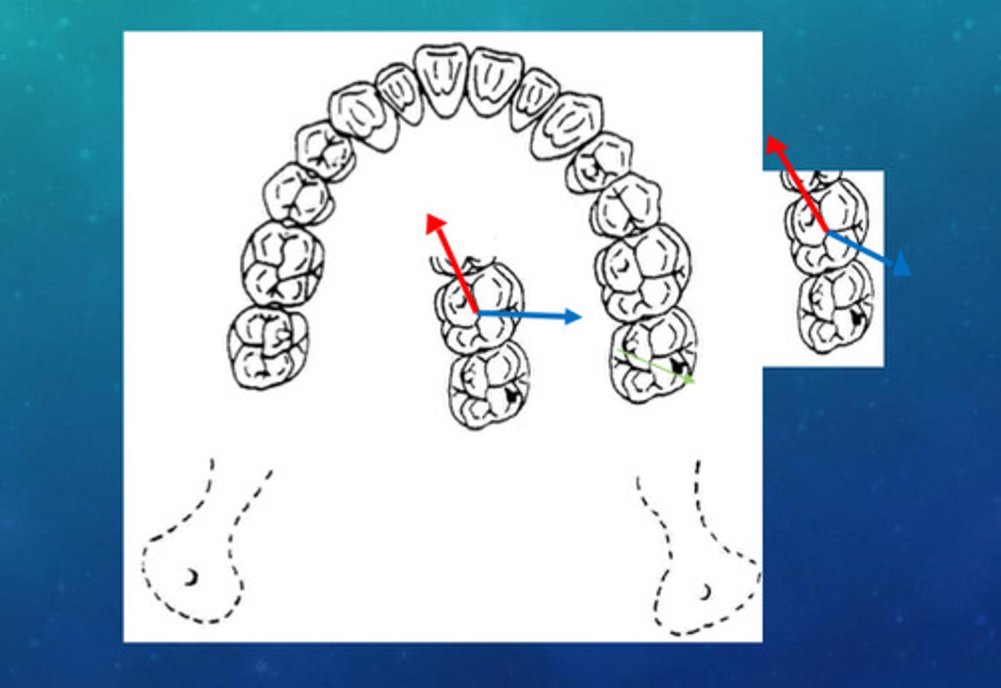 knowt flashcard image