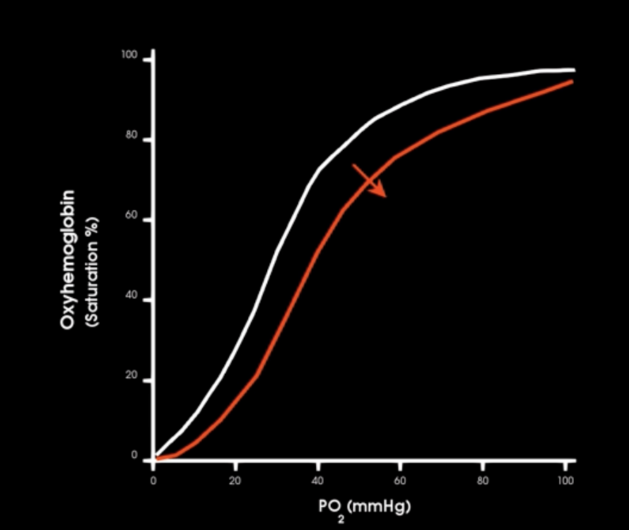 <p>how does increase in emperature affect hgb-o2 affinity</p>