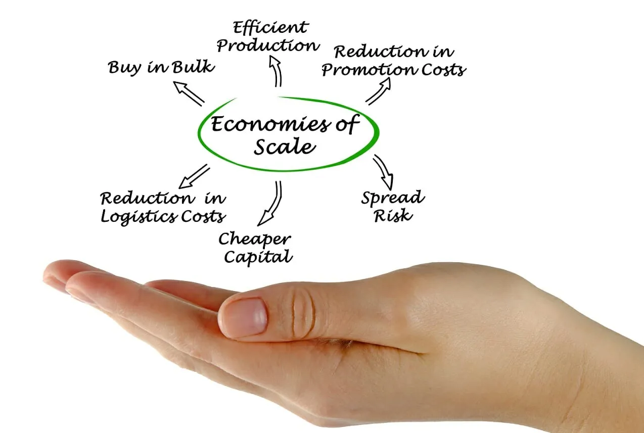 Cost advantages that can come with a larger scale of operations.