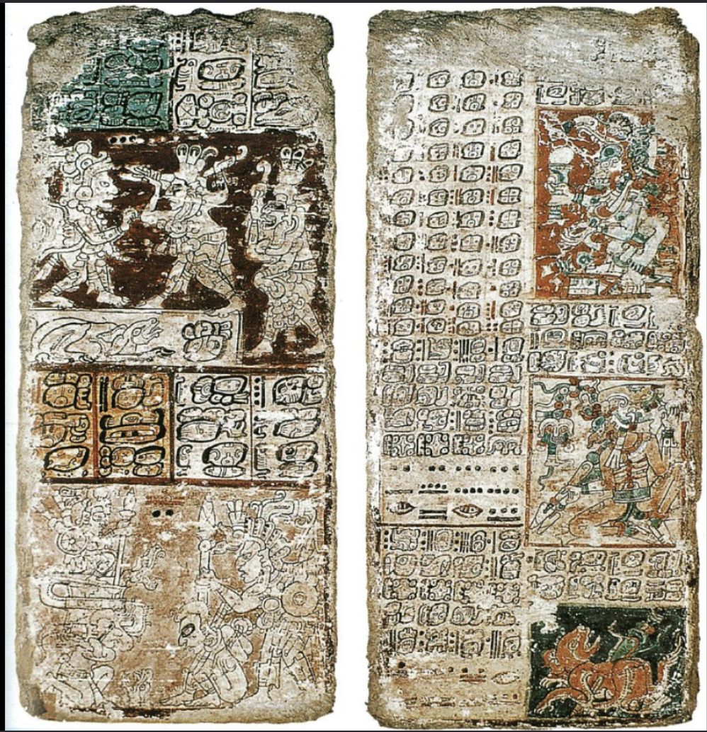 term image