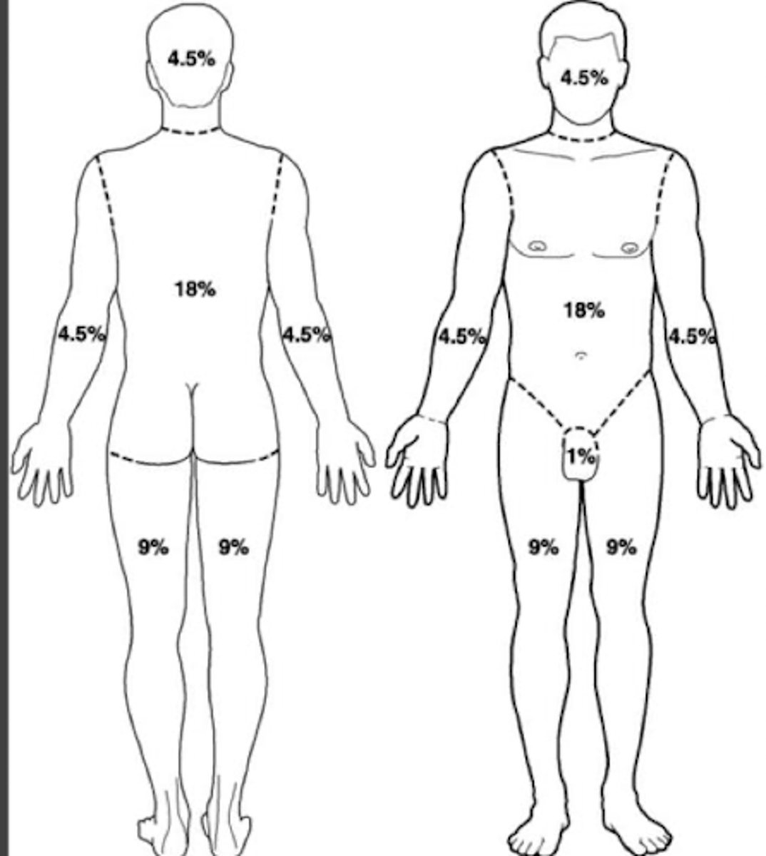 <p>- face / head = 4.5%</p><p>- torso= 18%</p><p>- genitals = 1%</p><p>- legs= 9%</p><p>- arms = 4.5%</p>