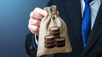 <p>Subsidy</p>
