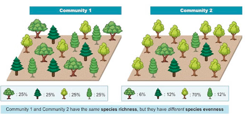 <ul><li><p>the number of species <strong>individuals</strong> in an environment</p></li></ul>