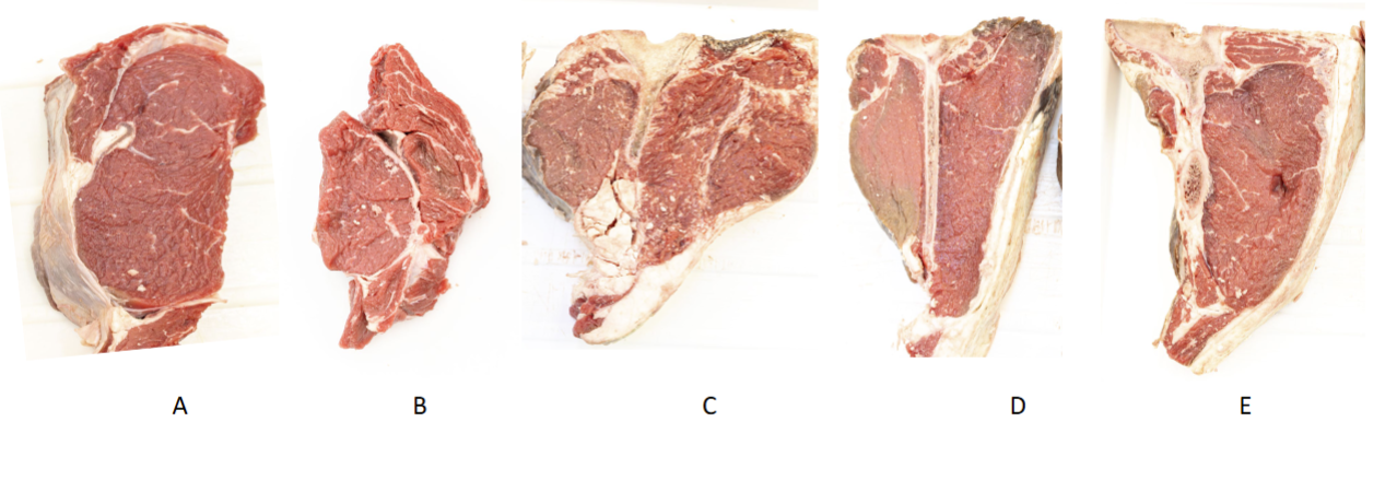 <p>Order anterior to posterior</p>