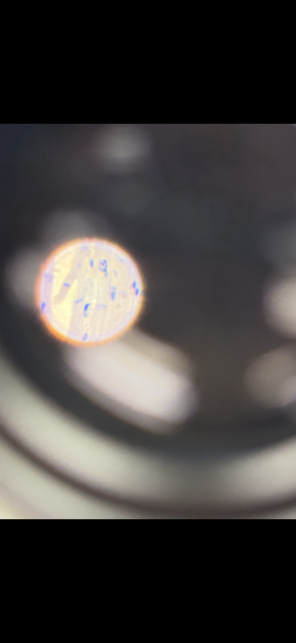 <p>Body location: heart</p>