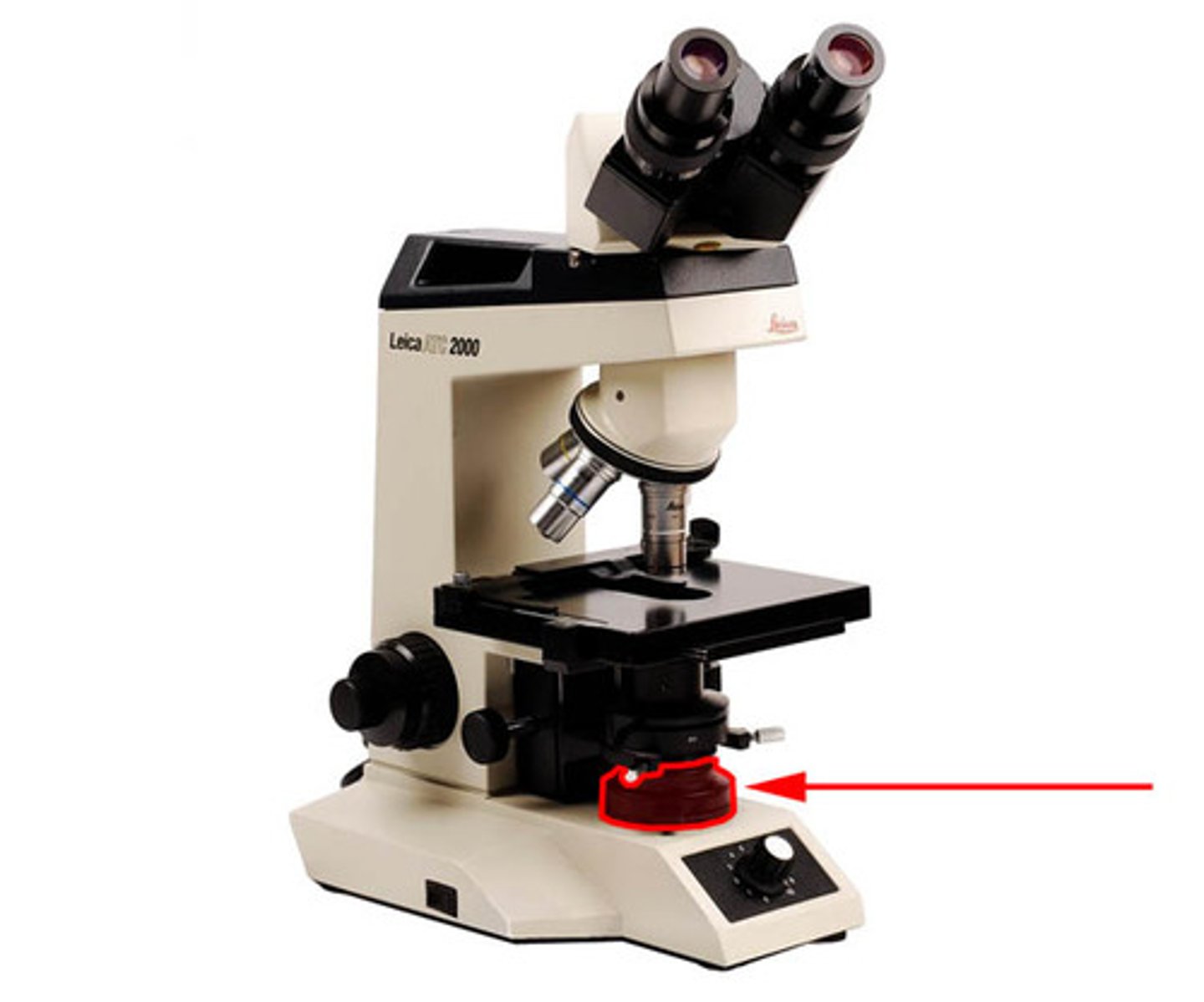 <p>a light within the base providing the light source for illumination of the specimen. The power switch is usually at the side or front of the microscope turns it off and on.</p>