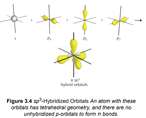 <p>merge three p-orbitals and one s-orbital by promoting one of the 2s electrons into the 2p<sub>z</sub>-orbital,; four identical orbitals; tetrahedral geometry</p>