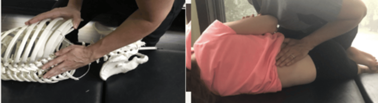 <p>PP: Basic side posture position with either side up-verbalize how you found the segment</p><p>DP: Modified fencer stance</p><p>CH: Caudal hand hypo/calcaneous slides onto superior segment (L3) spinous with fingers angled across the spine</p><p>IH: Cephalic hand slight upward traction holding the pt's up-side shoulder or overlapping hand</p><p>LOD: P-A, I-S</p><p>(Opening interspinous space)</p>