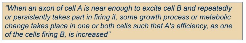 <p><strong>Neurons that fire together wire together</strong> → Repetition important for learning.</p><p>Neurons that are used repeatedly to perform a function become connected to facilitate function.</p><p>Use it or lose it: <strong>Synaptic pruning -</strong> old connections get deleted.</p>